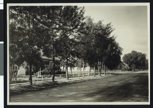Chino residences, ca.1900