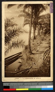 Canoes at a riverbank, Gabon, ca.1929