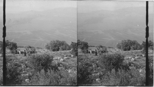From Mt. Tabor to the Jordan, Palestine