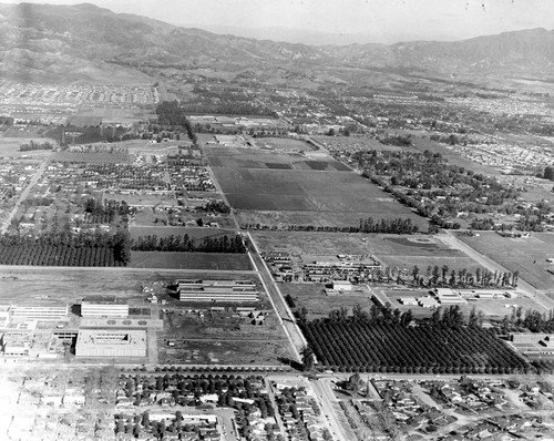 Campus of San Fernando Valley State College (now CSUN), Aerial View, 1960