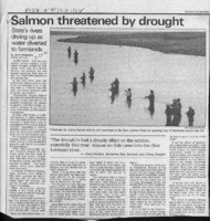 Salmon threatened by drought