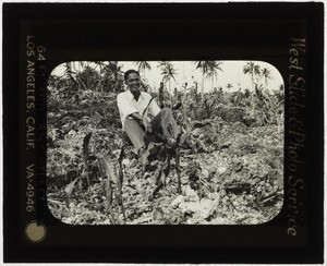 Corn field, Oslob, Cebu, Philippines, 1933