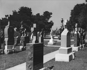 Rows of headstones at a slanted angle