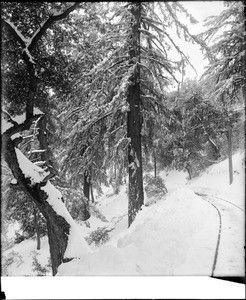 View of the snow along the track of Mount Lowe Railway track