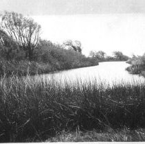 Unknown river of slough