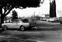 1970s - City Hall Parking Lot