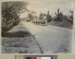Main avenue, Livingstonia, Malawi, ca.1903