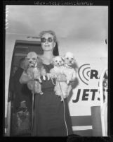 Joan Crawford arrives with 3 dogs in arm at Los Angeles International Airport, 1958