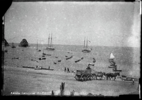 Horses and wagon on beach of Avalon Bay, Santa Catalina Island, California. [transparency]