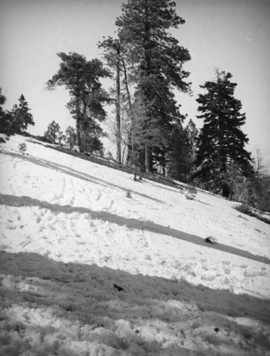 Big Pines Recreation Camp ski slope