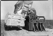 Mechanical Cotton Picker, Tulare County, Calif., Mid- to Late 1900s