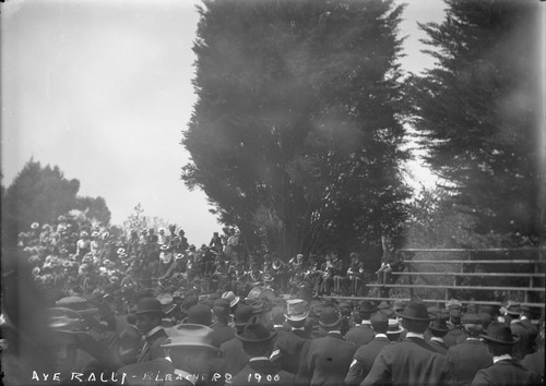 "Axe rally bleachers, 1900," University of California at Berkeley. [negative]