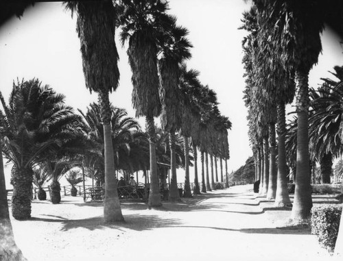 Palisades Park in 1940
