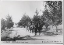 Stagecoaches en route to Mount Hamilton