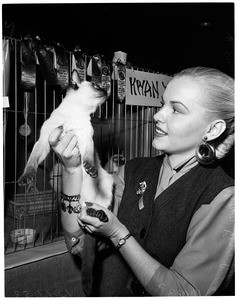 Long Beach Cat Fanciers' 8th Annual Cat Show, Long Beach Auditorium, 1953