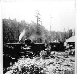 Northwestern Pacific (NWP) narrow gauge railroad at Streeten's Mill 1883