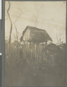 Lion proof hut, Cabo Delgado, Mozambique, April-July 1918