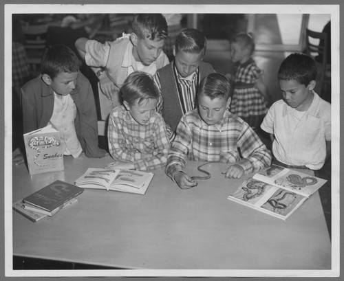 Boys learning about snakes at Santa Clara Public Library, 1958