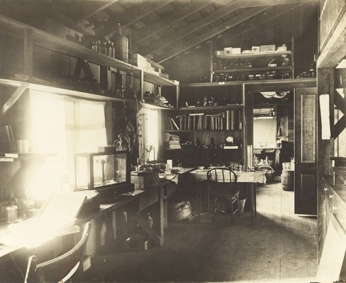 One the laboratories in the "Little Green Laboratory" at La Jolla Cove, which housed the Marine Biological Association of San Diego. This laboratory measured sixty by twenty-four feet over-all, the building containing three laboratories, a library, a reagent room, and an aquarium-museum for the public. 1905