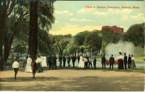 Postcard, View in Boston Common