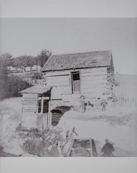 Old log cabin on the Akers ranch in Schellville, California, photographed between 1890 and 1900