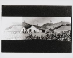Unidentified vineyard and barns in northern Sonoma County, California, early 1900s