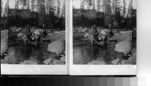 Mounted Indians Gaffing Salmon in the Wenatchee River, Washington