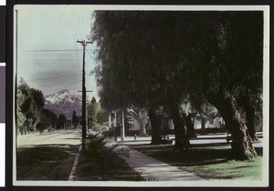 Homes in San Bernardino, showing snow-capped mountians in the background, ca.1900