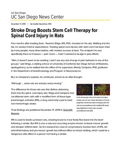 Stroke Drug Boosts Stem Cell Therapy for Spinal Cord Injury in Rats