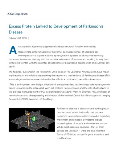 Excess Protein Linked to Development of Parkinson's Disease