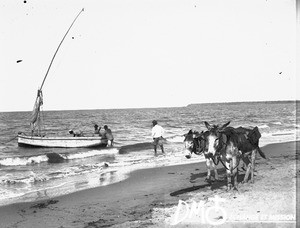 Small boat, Catembe, Mozambique, ca. 1896-1911