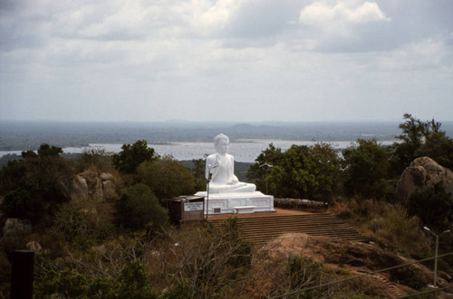 Modern Buddha statue in an outdoor setting