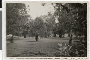 Park at the mission station Harmshusen, Adis Abeba, Ethiopia, ca.1934-1935
