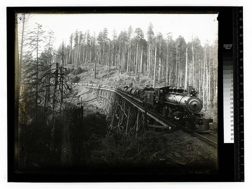 Among th Humboldt Redwoods [Train of logs - Luffenholtz trestle/unknown]