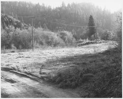 Unidentified dirt road through a meadow in forested hills in northwestern Sonoma County, California, photographed between 1960 and 1970