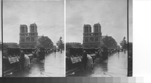 Notre Dame and Seine bookstalls
