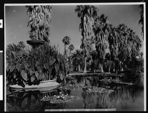 Pond and palm trees in a Beverly Hills park, ca.1920-1929