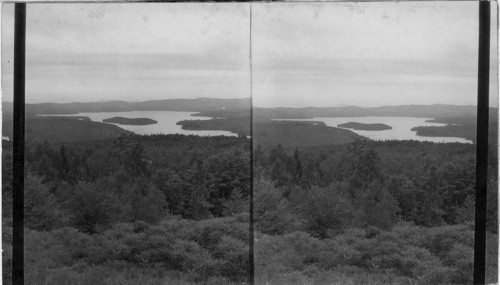 Lake Sunapee, from Mt. Sunapee, N. H., Sumac (Habitat)