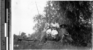 Two women sitting on an ox, Philippines, ca. 1920-1940