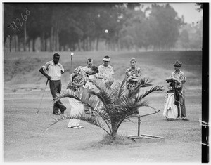 Sixth Annual Examiner Junior Golf Tourney, qualifying round Riviera Country Club, 1951