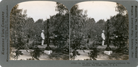 In the quiet Pepper Grove, Panama-California Exposition, San Diego, Calif., U. S. A., 17705
