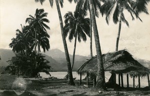 A Tahitian landscape