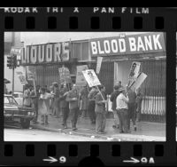Blood Donors Union members picketing a Skid Row blood bank in Los Angeles, Calif., 1973