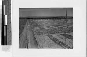 Distant view of the Granada Japanese Relocation Camp, Amache, Colorado, Sept 30, 1942