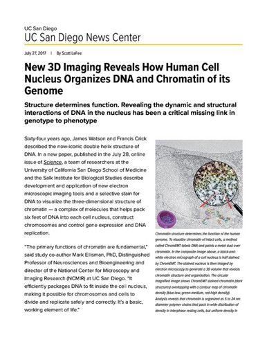 New 3D Imaging Reveals How Human Cell Nucleus Organizes DNA and Chromatin of its Genome