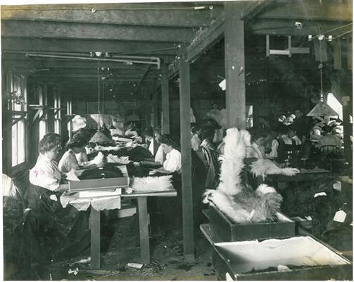 Women Working in Cawston Ostrich Farm Production Room, South Pasadena, CA