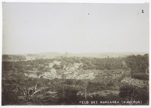 Feld bei Mangamba (Kamerun)