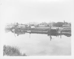 Boats on the river at Petaluma Yacht Club's temporary harbor, Petaluma, California, about 1940