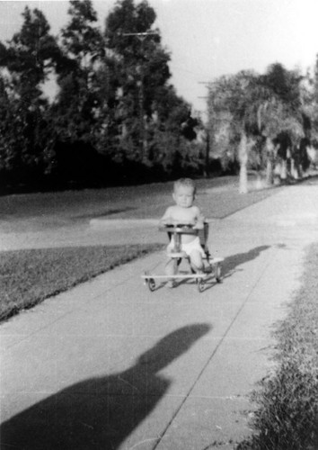 Fred Burnette in a buggy on East Walnut Avenue, Orange, California, 1938