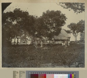Boys working the fields, Livingstonia, Malawi, ca.1903